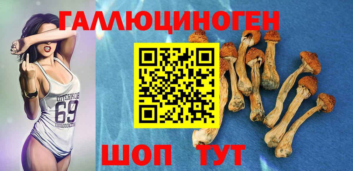 Галлюциногенные грибы Magic Shrooms Сызрань