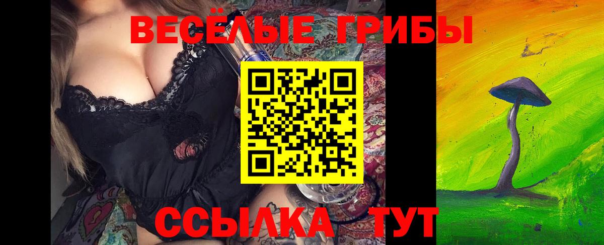 Сызрань  Псилоцибиновые грибы мицелий  Вход с VPN 