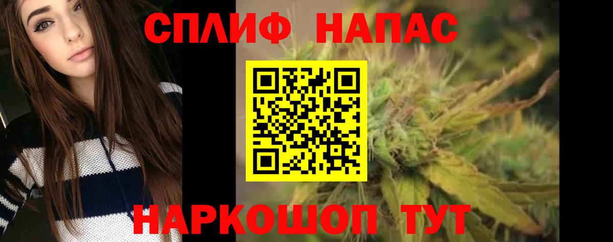 Бошки Шишки планчик Сызрань